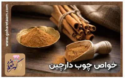 خواص چوب دارچین