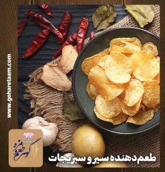 چاشنی و طعمدهنده سیر و سبزیجات | خرید ادویه چیپس