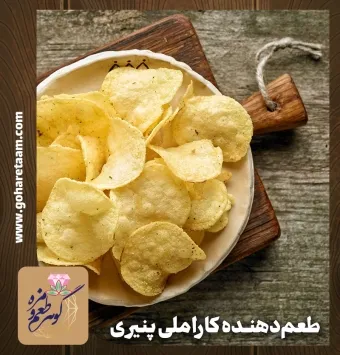 چاشنی و طعمدهنده کاراملی پنیری | خرید ادویه چیپس