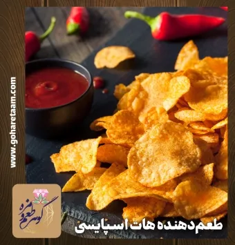 چاشنی و طعمدهنده هات اسپایسی | خرید ادویه چیپس