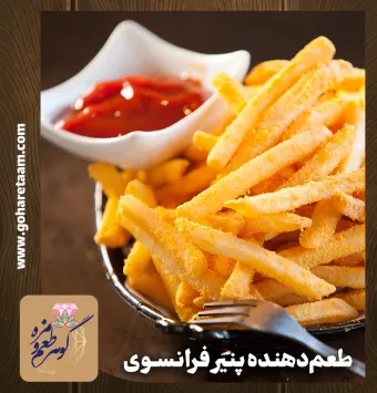 چاشنی و طعمدهنده پنیر فرانسوی | خرید ادویه چیپس