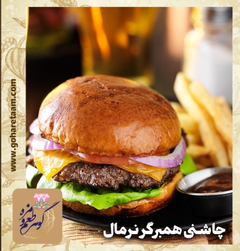 چاشنی همبرگر نرمال | خرید ادویه فست فود