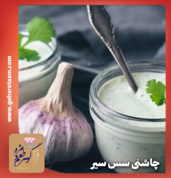 چاشنی سس سیر | خرید ادویه سس سیر