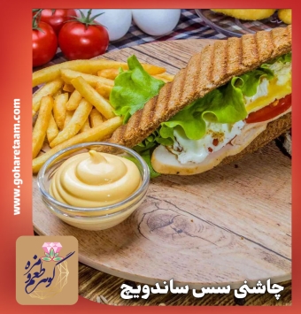 چاشنی سس ساندویچ | خرید ادویه مخصوص سس ساندویچ