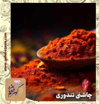 چاشنی تندوری | خرید ادویه تندوری