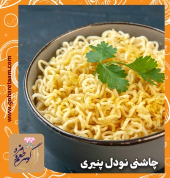 چاشنی نودل پنیری | خرید ادویه نودل با طعم پنیر